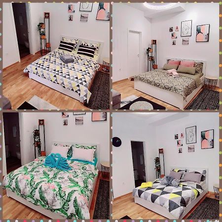 Apartman Delena نوفي ساد المظهر الخارجي الصورة