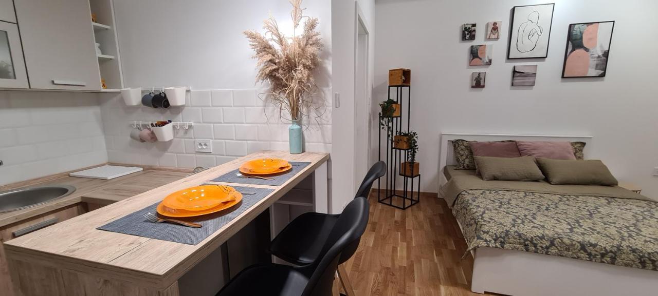 Apartman Delena نوفي ساد المظهر الخارجي الصورة