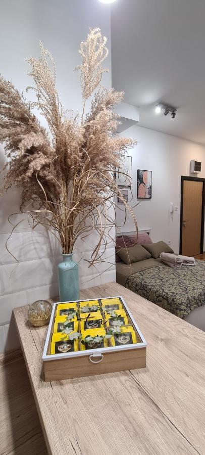 Apartman Delena نوفي ساد المظهر الخارجي الصورة