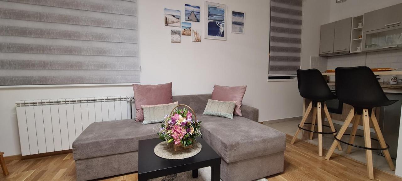 Apartman Delena نوفي ساد المظهر الخارجي الصورة