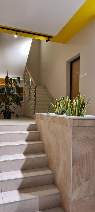 Apartman Delena نوفي ساد المظهر الخارجي الصورة
