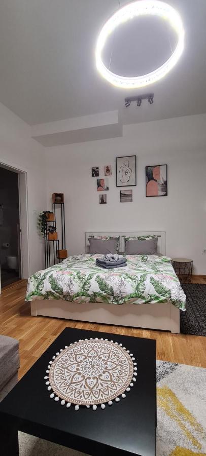 Apartman Delena نوفي ساد المظهر الخارجي الصورة