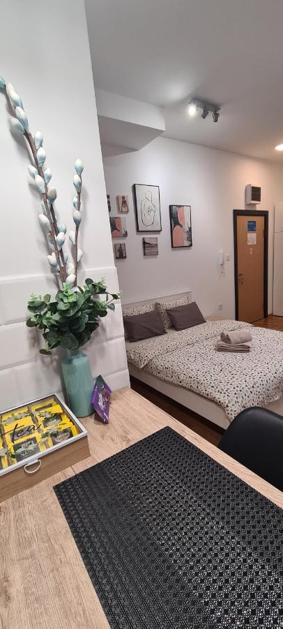 Apartman Delena نوفي ساد المظهر الخارجي الصورة